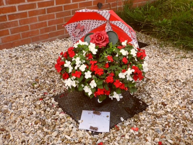 Umbrella Walk Exhibit 2